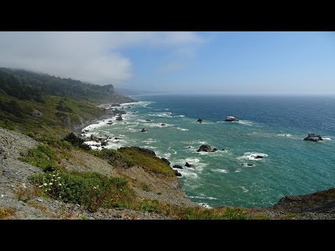 Redwood National Park - Bucketlist USA - Top Attractions - things to see - TrekAmerica
