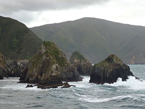 Marlborough Sounds - Highlights in Neuseeland - New Zealand - Nordinsel - Südinsel - things to see