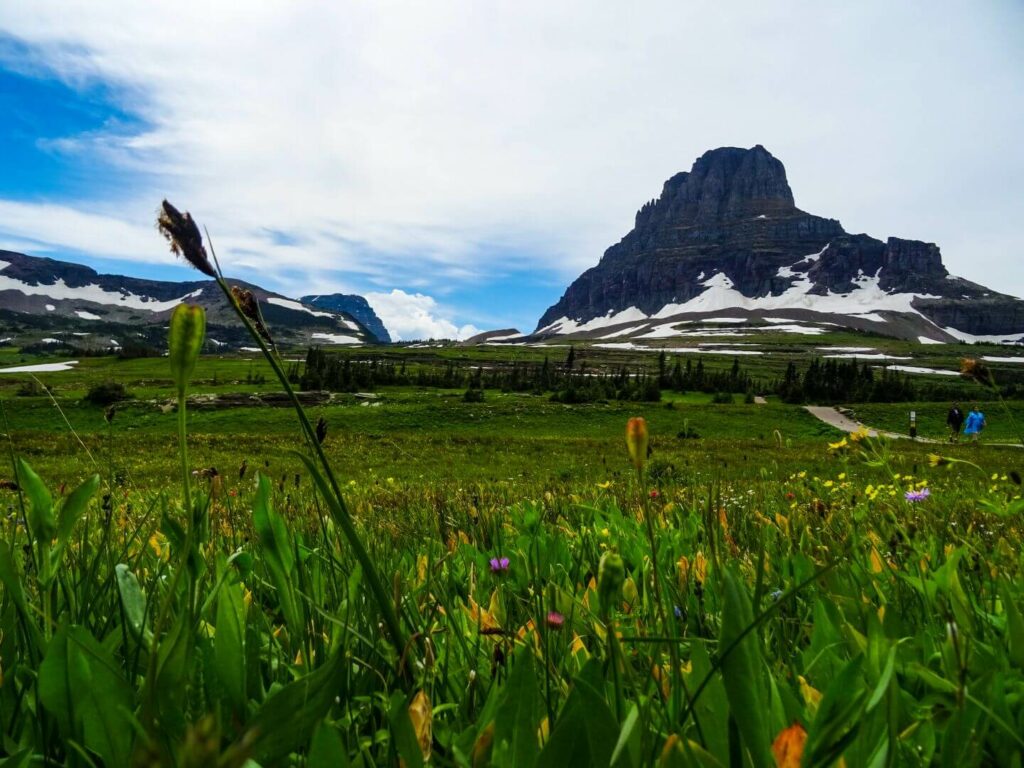 Glacier Nationalpark Going to the sun road
