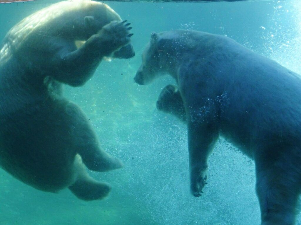 San Diego Zoo