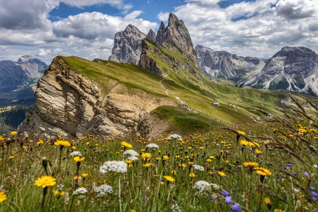 seceda